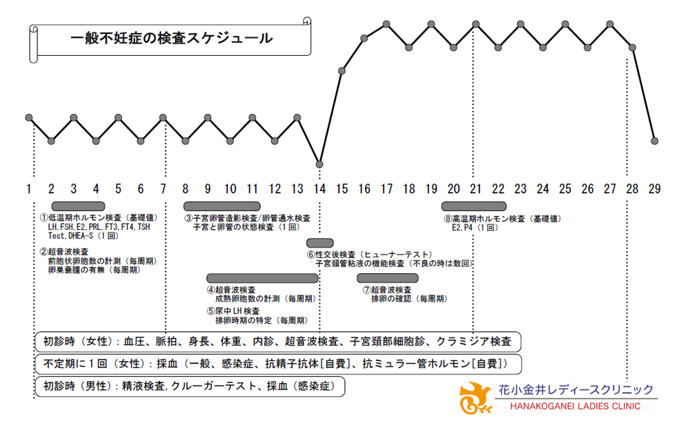 不妊症の検査について 花小金井レディースクリニック 不妊治療 小平市 小金井市 東久留米市 西東京市